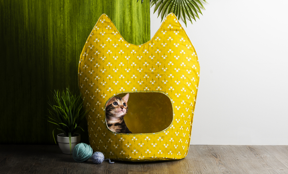 maison pour chats