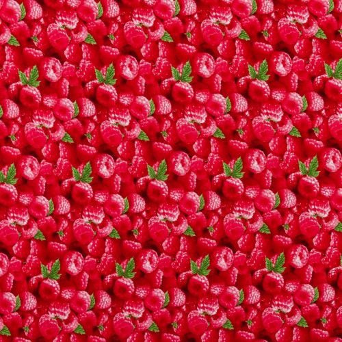 COTON FOOD FESTIVAL PAR ELIZABETH'S STUDIO - FRAMBOISES 