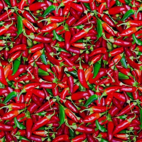 COTON FOOD FESTIVAL PAR ELIZABETH'S STUDIO - PIMENTS