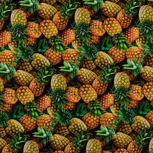 COTON FOOD FESTIVAL PAR ELIZABETH'S STUDIO - ANANAS