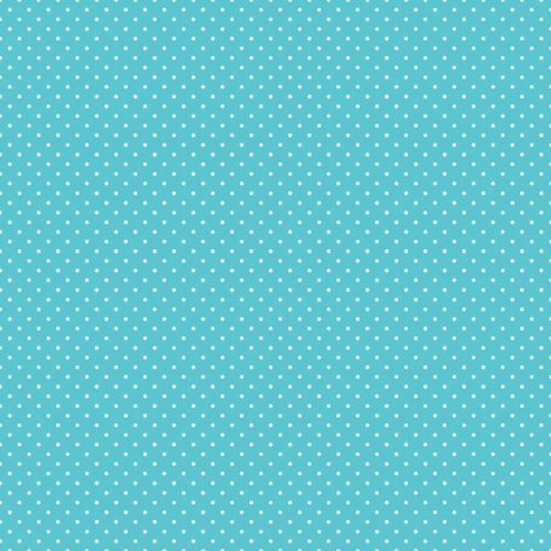 COTON SWISS DOTS PAR RILEY BLAKE - PAON