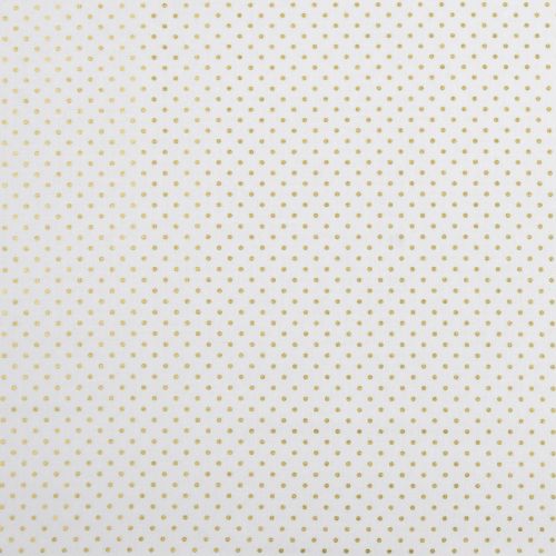 COTON SWISS DOTS PAR RILEY BLAKE - OR