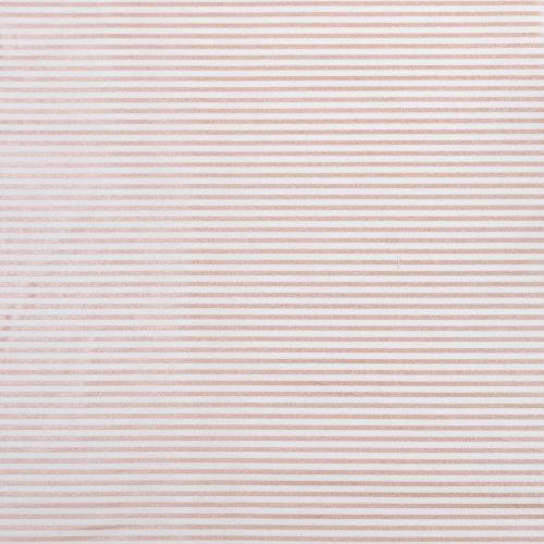 COTON RAYURES 1/8 PO PAR RILEY BLAKE - ROSEGOLD