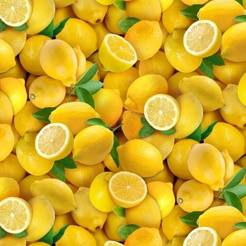 COTON FOOD FESTIVAL PAR ELIZABETH'S STUDIO - CITRONS JAUNE