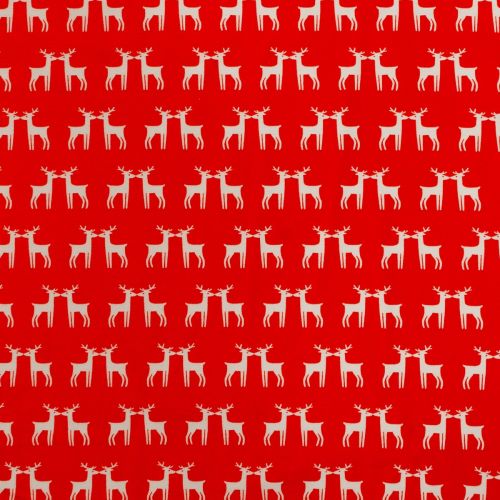 JERSEY COZY & JOYFUL PAR ART GALLERY - UNDER THE MISTLETOE