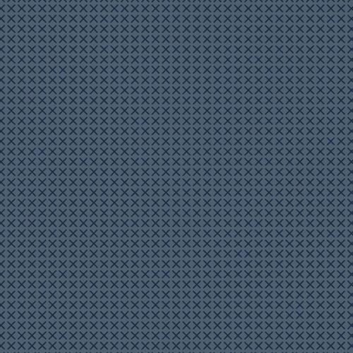 COTON CROSS STITCH PAR ALISON GLASS POUR ANDOVER -  ARDOISE