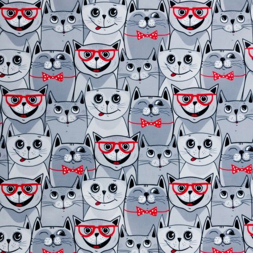 PUL CHAT À LUNETTES - GRIS