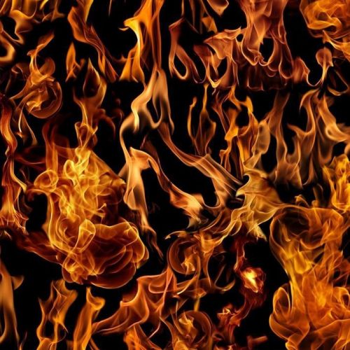 COTON PAR TIMELESS TREASURES - FLAMES NOIR