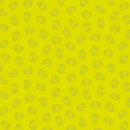 COTON THE WATCHER PAR LIBS ELLIOTT POUR ANDOVER - SMALL SKULL LIME