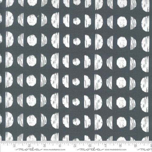 COTON ILLUSTRATION PAR ALLI K DESIGNS POUR MODA - PHASES GRAPHITE
