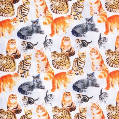 COTON CHATS - BLANC