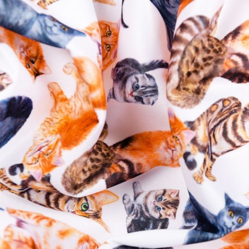 PUL CHATS - BLANC