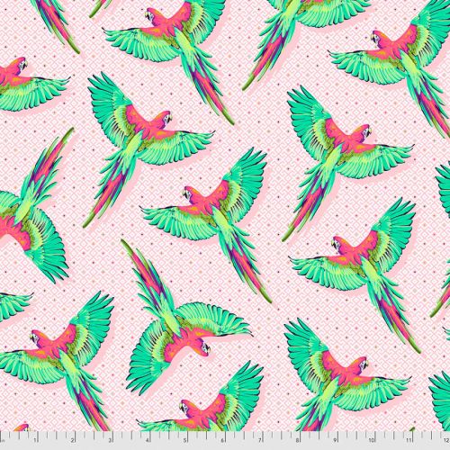 COTON DAYDREAMER PAR TULA PINK POUR FREE SPIRIT - MACAW YA LATER DRAGONFRUIT