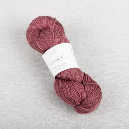 SOLSTICE-CONSTELLATION DK - JARDIN DE ROSES